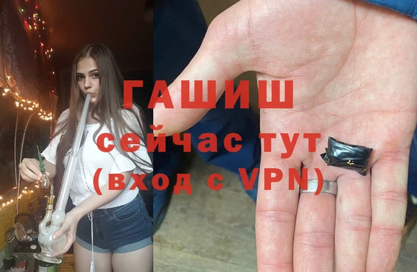 индика Алзамай