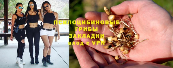 не бодяженный Абинск